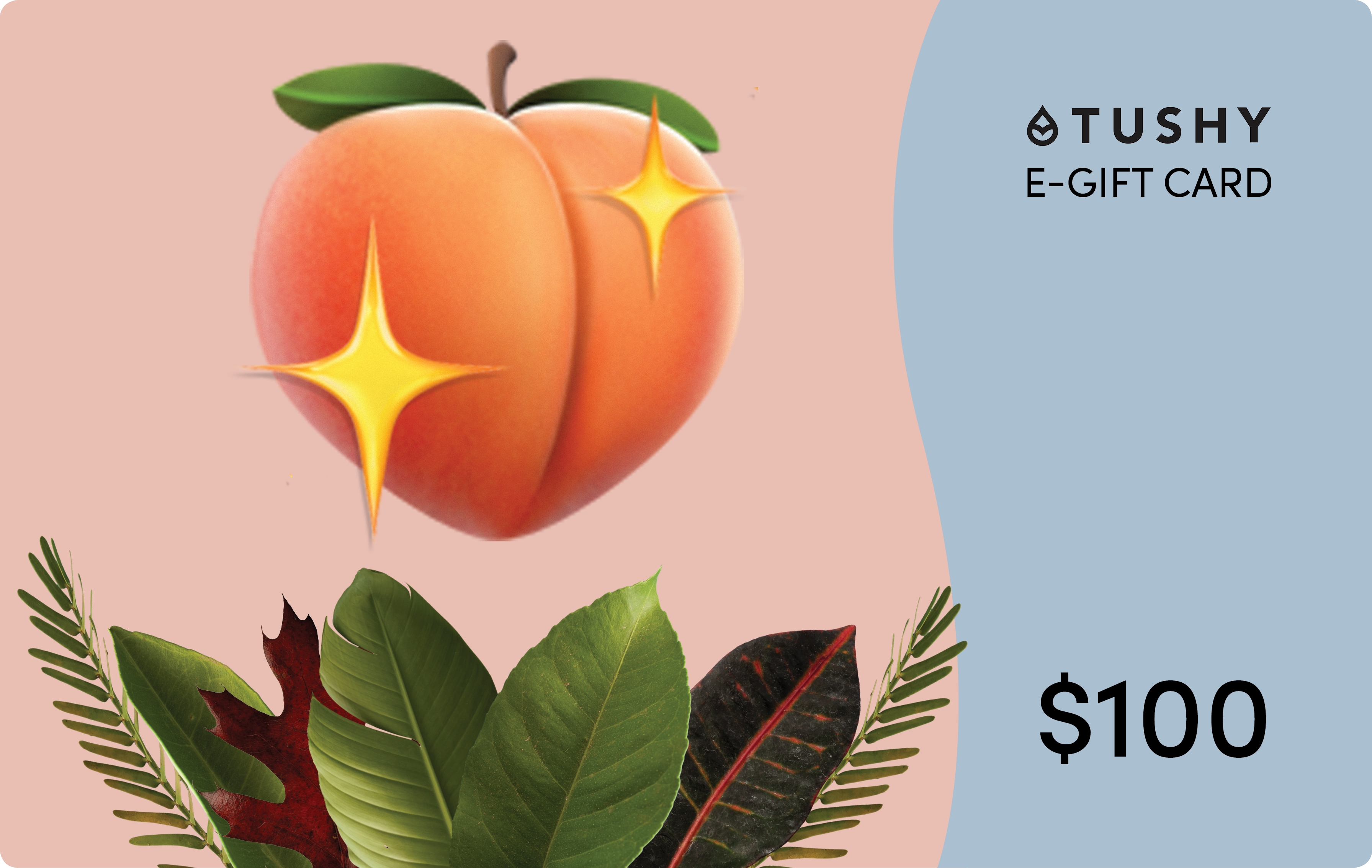 TUSHY E-Gift Cards