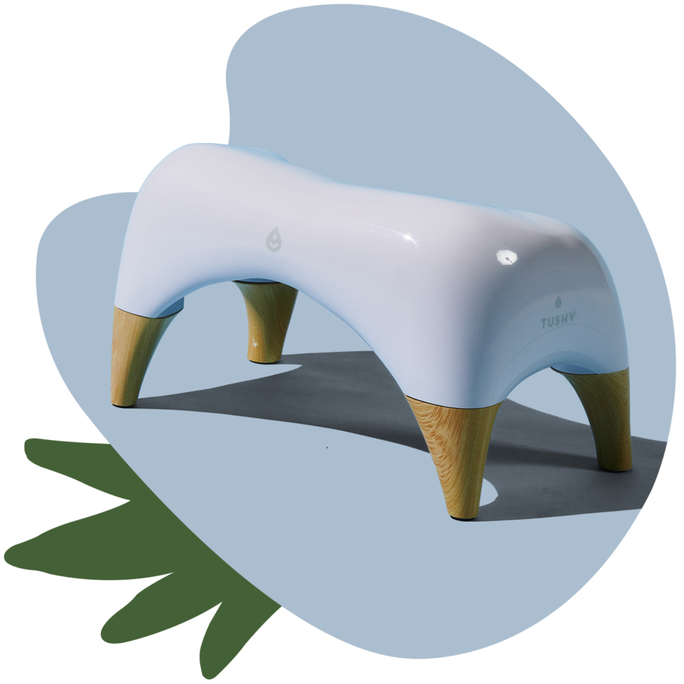 TUSHY Ottoman Offer