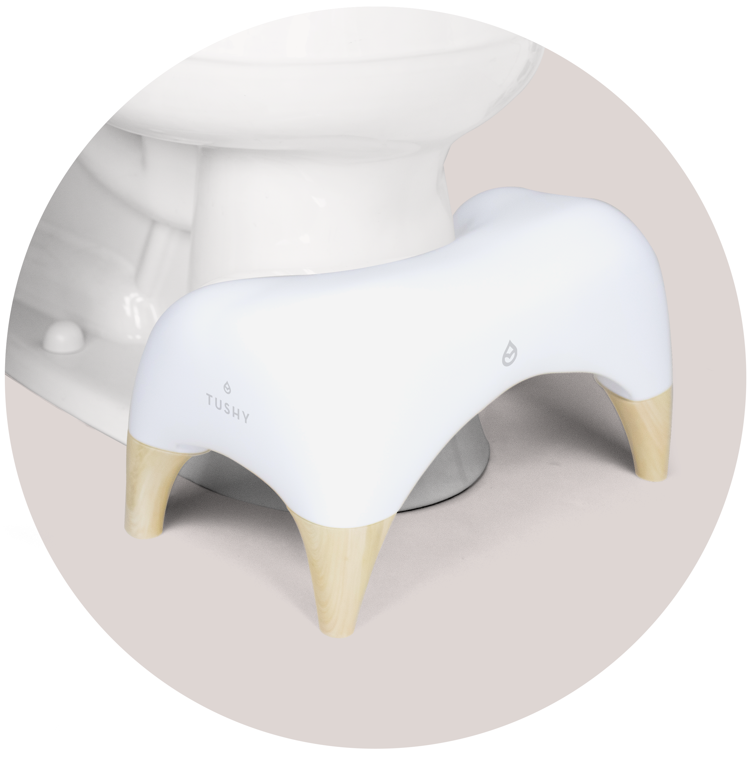 TUSHY Ottoman Offer