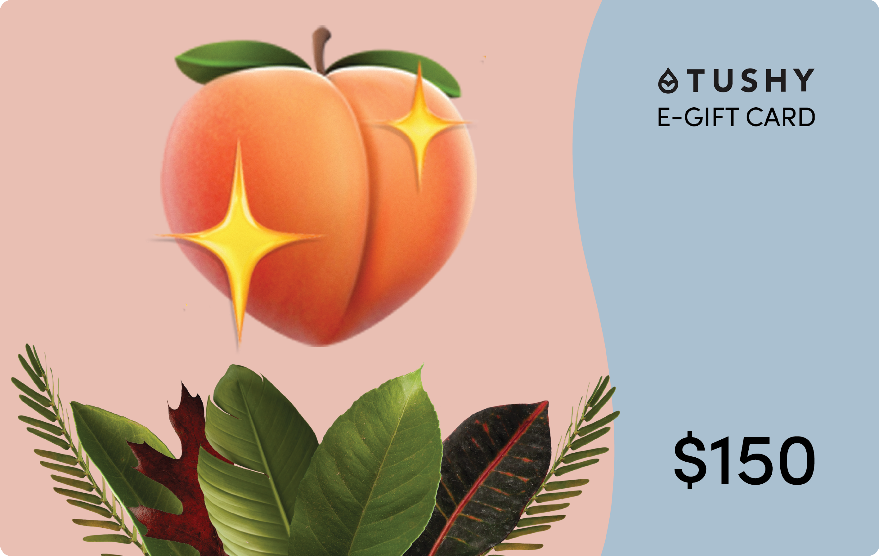 TUSHY E-Gift Cards